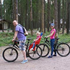 База отдыха Ильичево, Ильичево, Ленинградская область