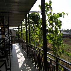 Гостиница Добрый Бобр, Ильич, Краснодарский край