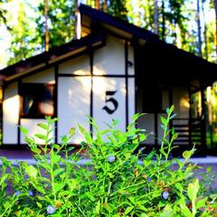 База отдыха Ильичево, Ильичево, Ленинградская область