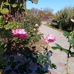 Гостиница Добрый Бобр, Ильич, Краснодарский край