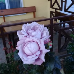 Гостиница Добрый Бобр, Ильич, Краснодарский край