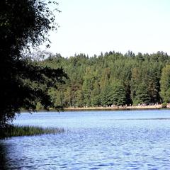 База отдыха Ильичево, Ильичево, Ленинградская область
