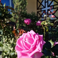 Гостиница Добрый Бобр, Ильич, Краснодарский край