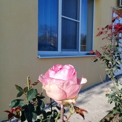 Гостиница Добрый Бобр, Ильич, Краснодарский край