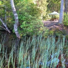База отдыха Ильичево, Ильичево, Ленинградская область