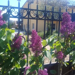 Гостиница Добрый Бобр, Ильич, Краснодарский край