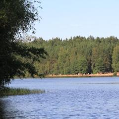 База отдыха Ильичево, Ильичево, Ленинградская область