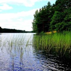 База отдыха Ильичево, Ильичево, Ленинградская область