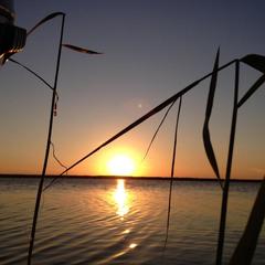 Гостевой дом Марина, Ильич, Краснодарский край