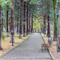 Санаторий Геолог Казахстана, Иноземцево, Ставропольский край