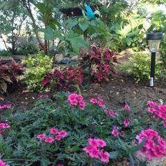 Гостевой дом Марина, Ильич, Краснодарский край