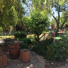 Гостевой дом Марина, Ильич, Краснодарский край