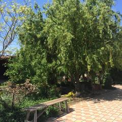 Гостевой дом Марина, Ильич, Краснодарский край