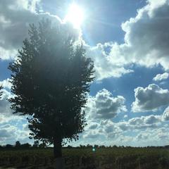 Гостевой дом Марина, Ильич, Краснодарский край