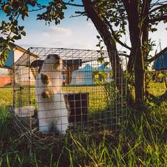 База отдыха Эко-ферма Полесье, Инино, Калужская область