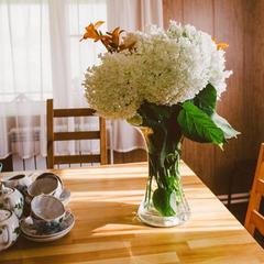 База отдыха Эко-ферма Полесье, Инино, Калужская область