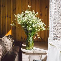 База отдыха Эко-ферма Полесье, Инино, Калужская область