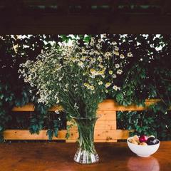 База отдыха Эко-ферма Полесье, Инино, Калужская область