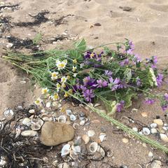 Гостевой дом Марина, Ильич, Краснодарский край