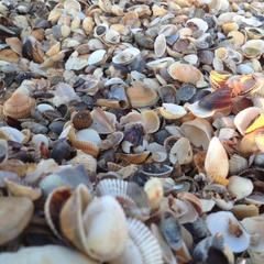 Гостевой дом Марина, Ильич, Краснодарский край