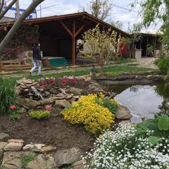 Гостевой дом Марина, Ильич, Краснодарский край