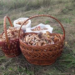 База отдыха Эко-ферма Полесье, Инино, Калужская область