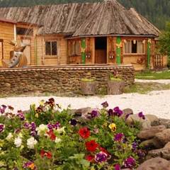 База отдыха Золотая Рыбка, Село Иогач, Республика Алтай