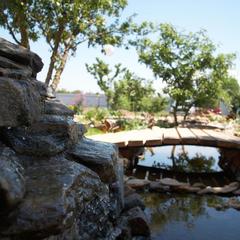 Гостевой дом Марина, Ильич, Краснодарский край