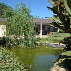 Гостевой дом Марина, Ильич, Краснодарский край