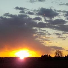 База отдыха Эко-ферма Полесье, Инино, Калужская область