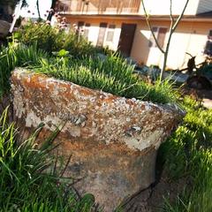 Гостевой дом Марина, Ильич, Краснодарский край