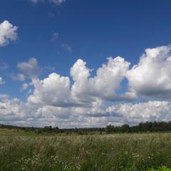 База отдыха Эко-ферма Полесье, Инино, Калужская область