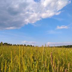 База отдыха Эко-ферма Полесье, Инино, Калужская область