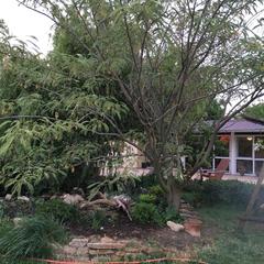 Гостевой дом Марина, Ильич, Краснодарский край