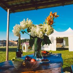 База отдыха Эко-ферма Полесье, Инино, Калужская область