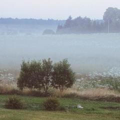 База отдыха Эко-ферма Полесье, Инино, Калужская область