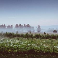 База отдыха Эко-ферма Полесье, Инино, Калужская область