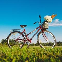 База отдыха Эко-ферма Полесье, Инино, Калужская область