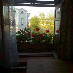 Апартаменты Гостевые комнаты В Иркутске, Иркутск, Иркутская область