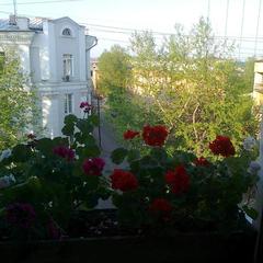 Апартаменты Гостевые комнаты В Иркутске, Иркутск, Иркутская область