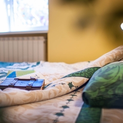 Хостел 3952, Иркутск, Иркутская область