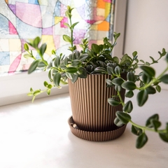 Хостел 3952, Иркутск, Иркутская область