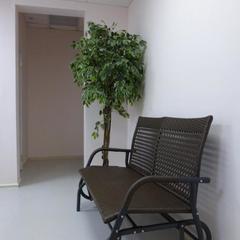 Хостел Кедр, Иркутск, Иркутская область