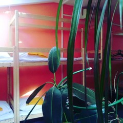 Хостел Like, Иркутск, Иркутская область