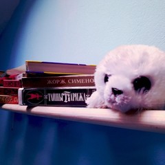 Хостел Like, Иркутск, Иркутская область