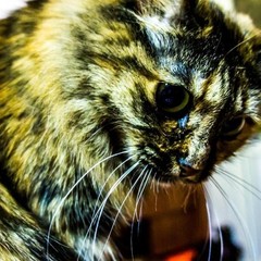 Хостел Like, Иркутск, Иркутская область