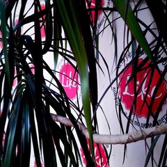 Хостел Like, Иркутск, Иркутская область