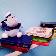 Хостел Like, Иркутск, Иркутская область