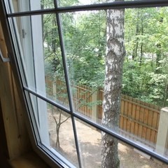 База отдыха Лесной дом, Истра, Московская область