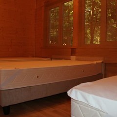 База отдыха Лесной дом, Истра, Московская область